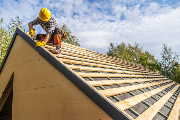 Best Metal Roofing Contractor  in Rib Mountain, WI