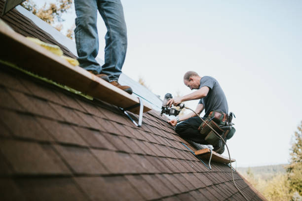 Best Roof Repair Services  in Rib Mountain, WI